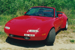 Detailní fotky Báby, přelom 20. a 21. století